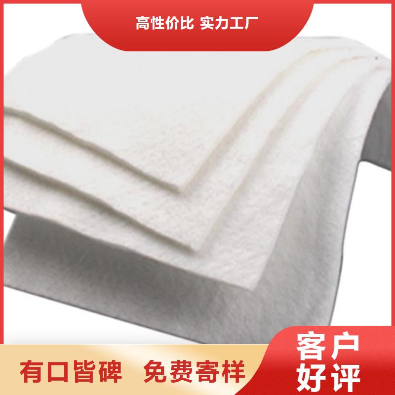 土工布膨润土防水毯精品选购