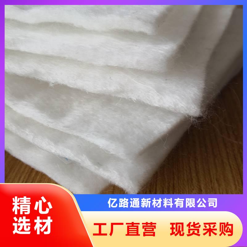 土工布膨润土防水毯精品选购