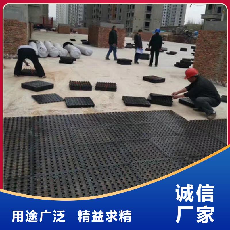 塑料排水板钢塑土工格栅厂家常年出售