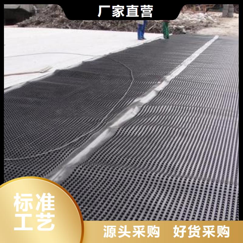 塑料排水板单向塑料土工格栅材质实在