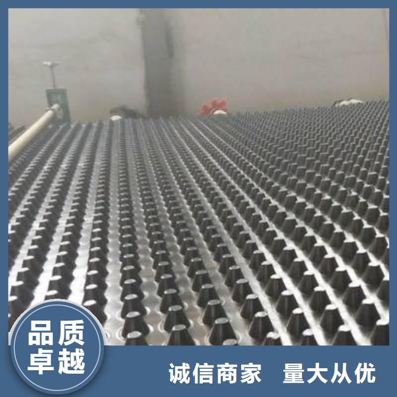 塑料排水板-复合土工膜可放心采购