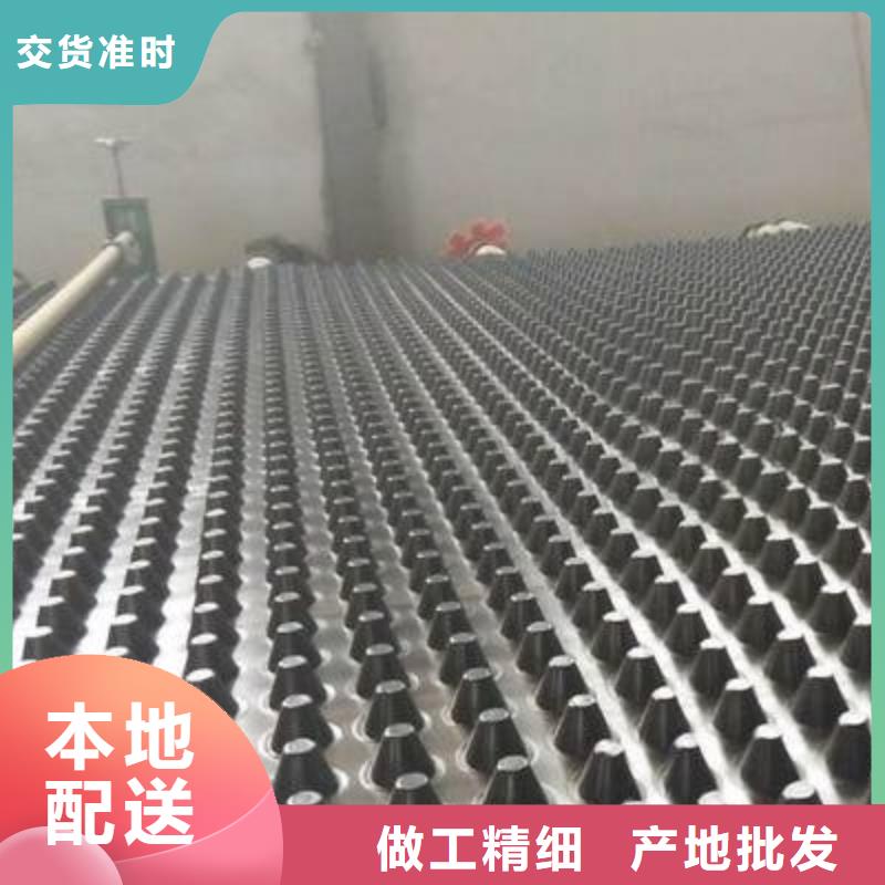 塑料排水板三维植被网厂家做工细致