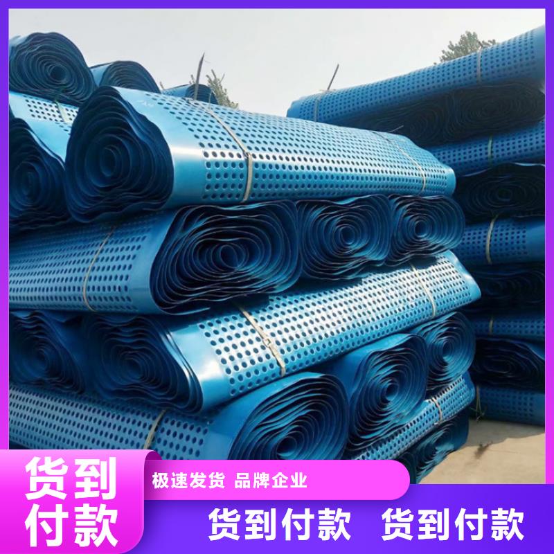塑料排水板-复合土工膜可放心采购