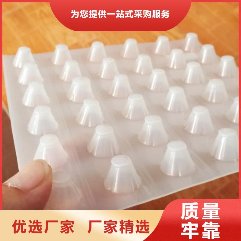 塑料排水板单向塑料土工格栅材质实在