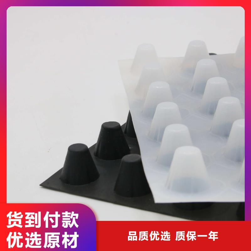 塑料排水板单向塑料土工格栅材质实在