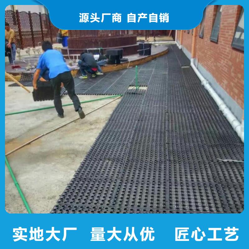 塑料排水板土工格室现货供应