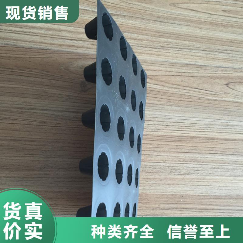 塑料排水板钢塑土工格栅厂家常年出售