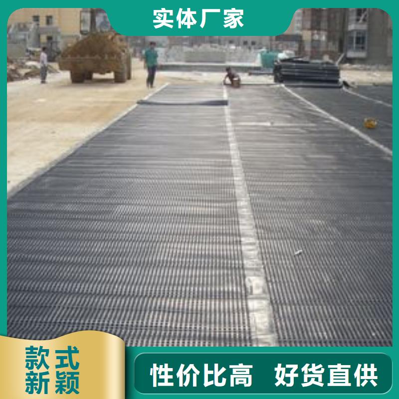 塑料排水板多向塑料土工格栅匠心品质