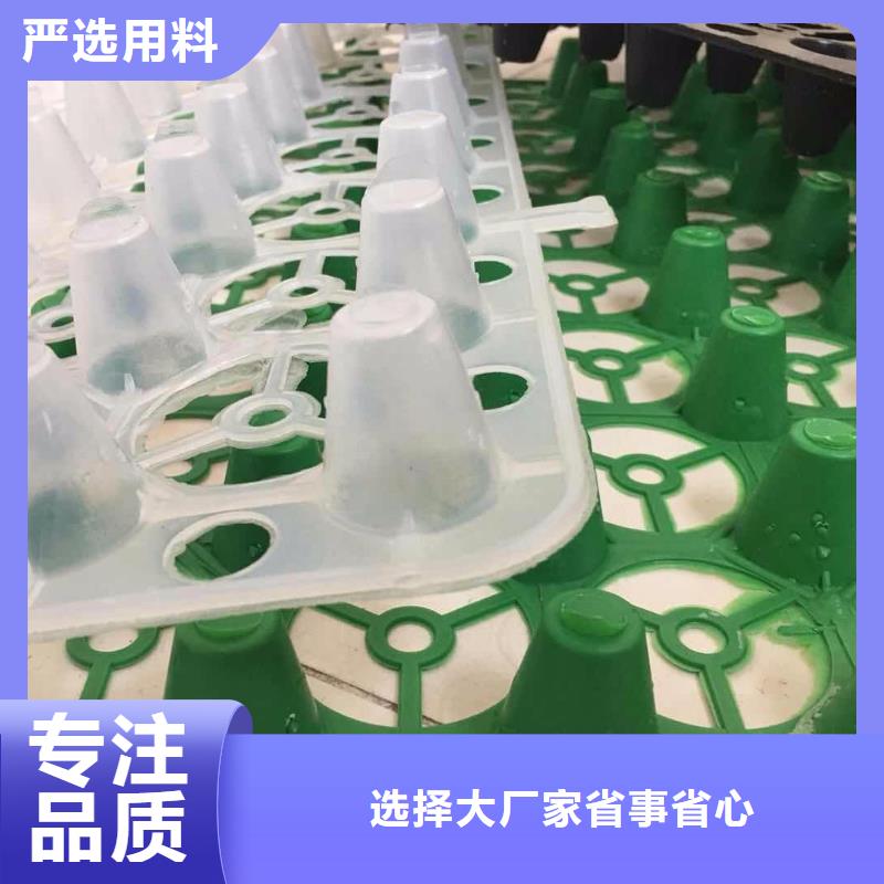 塑料排水板土工格室现货供应
