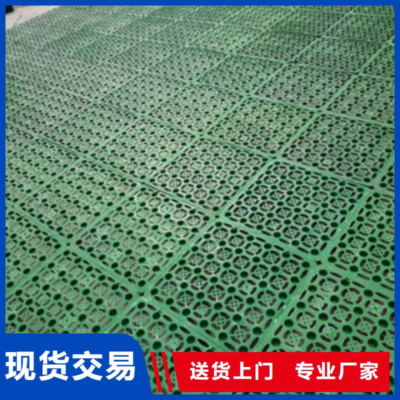 塑料排水板土工布价格高标准高品质