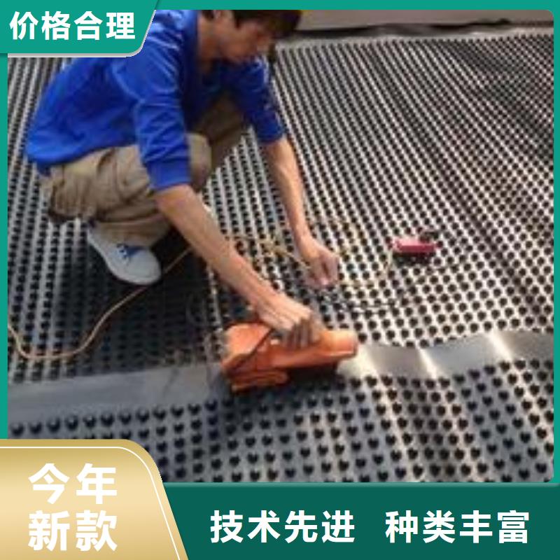 塑料排水板土工格室现货供应