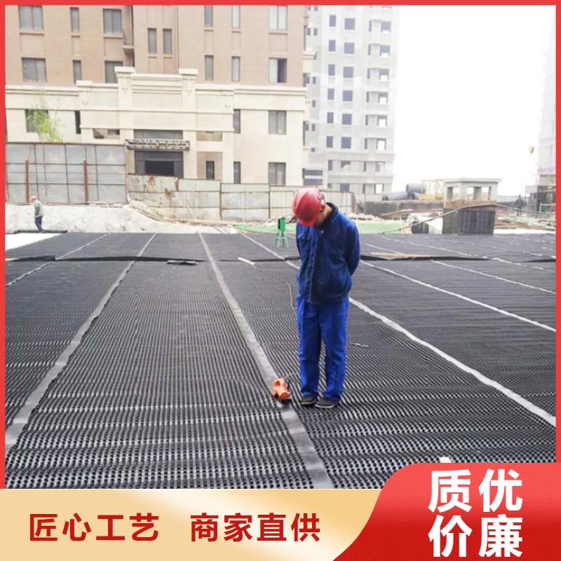 塑料排水板多向塑料土工格栅匠心品质