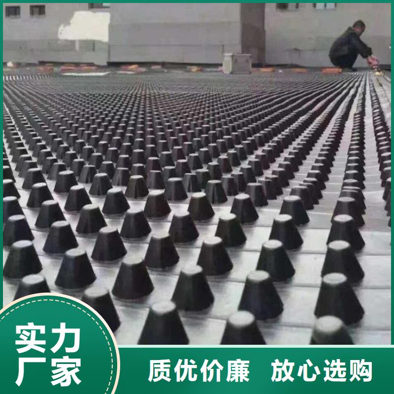 塑料排水板三维植被网厂家做工细致
