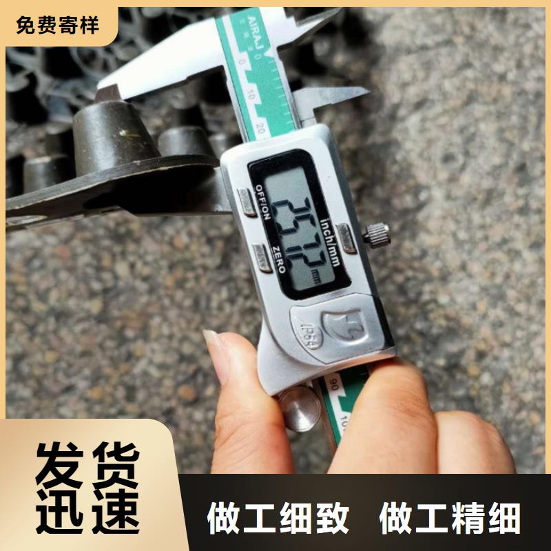 塑料排水板多向塑料土工格栅匠心品质