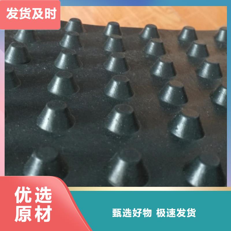塑料排水板钢塑土工格栅厂家常年出售
