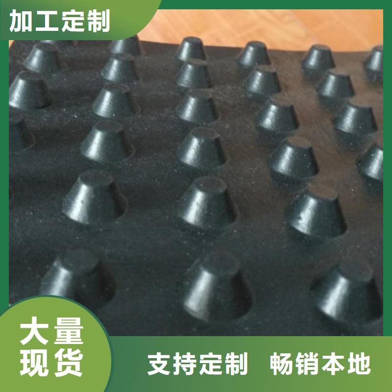 塑料排水板钢塑土工格栅厂家常年出售