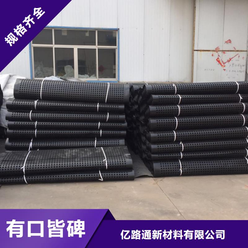 塑料排水板钢塑土工格栅厂家常年出售