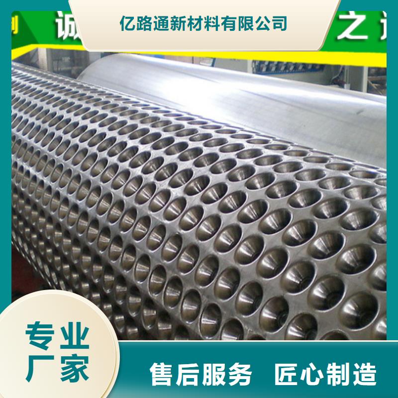 塑料排水板多向塑料土工格栅匠心品质