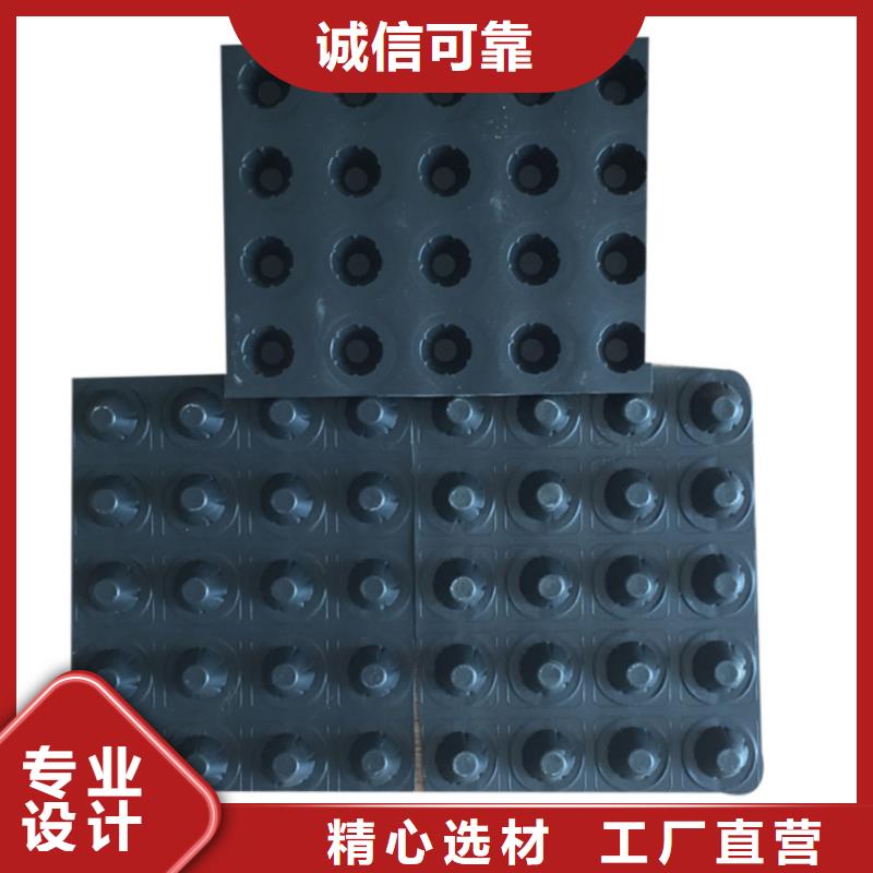 塑料排水板多向塑料土工格栅匠心品质
