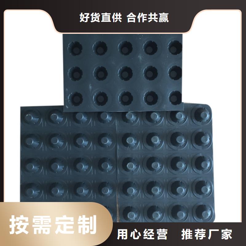 塑料排水板钢塑土工格栅厂家常年出售