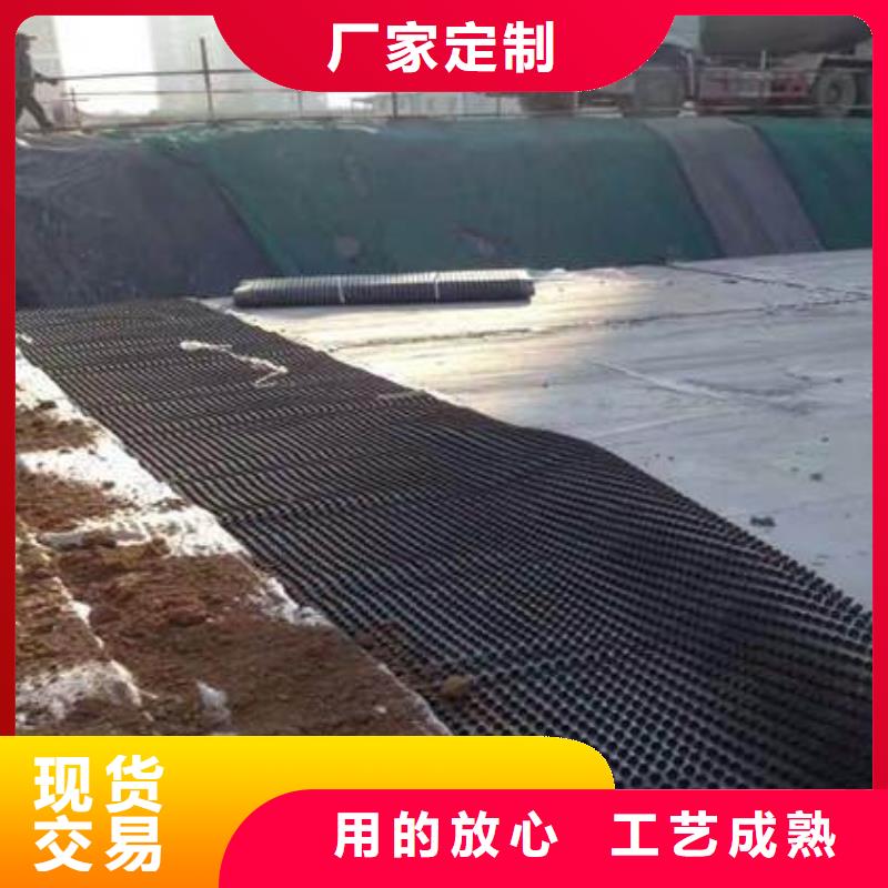塑料排水板多向塑料土工格栅匠心品质