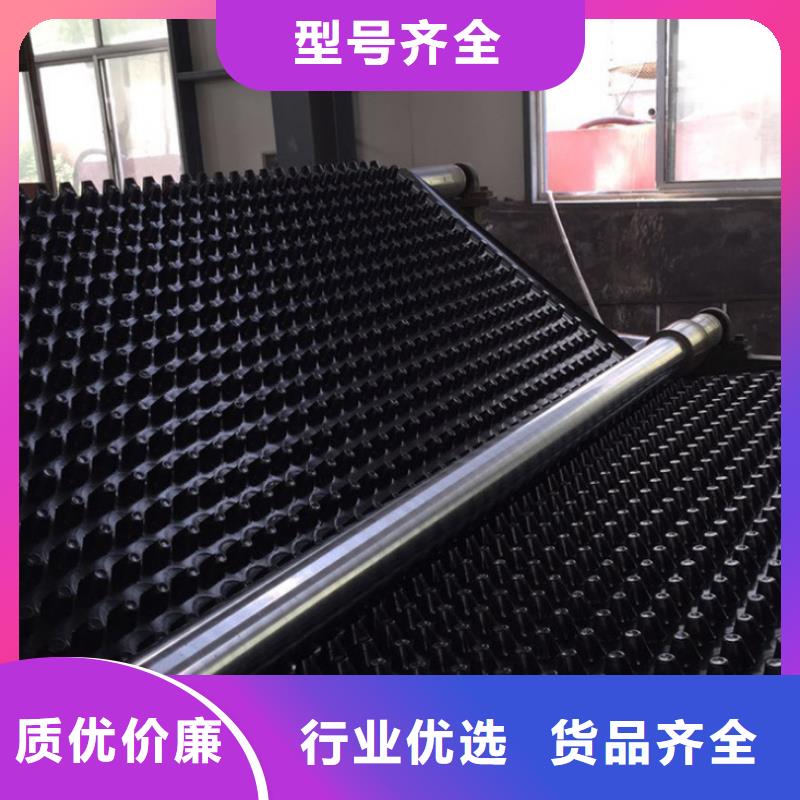 塑料排水板单向塑料土工格栅材质实在