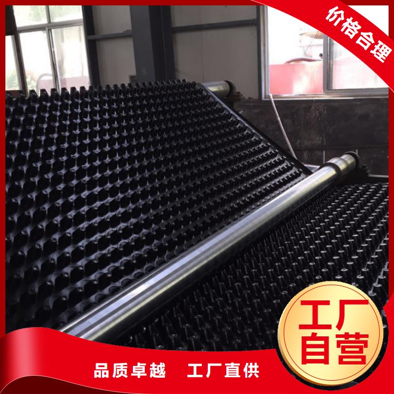 塑料排水板土工布价格高标准高品质