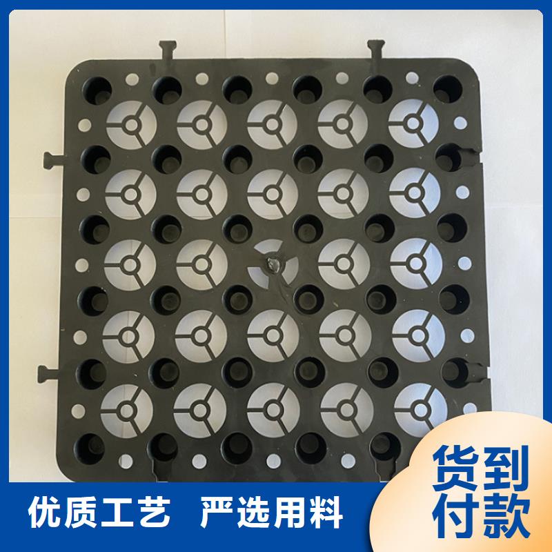 塑料排水板单向塑料土工格栅材质实在