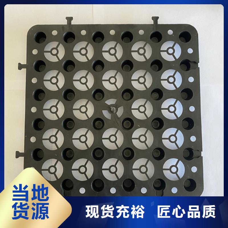 塑料排水板钢塑土工格栅厂家常年出售
