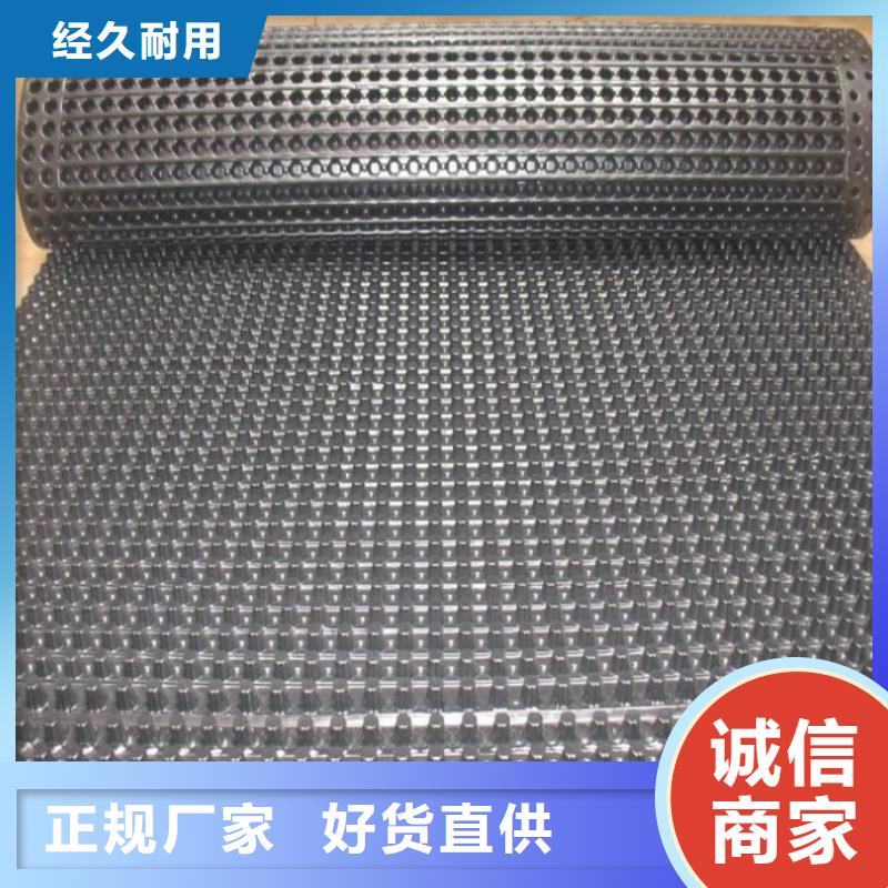 塑料排水板单向塑料土工格栅材质实在