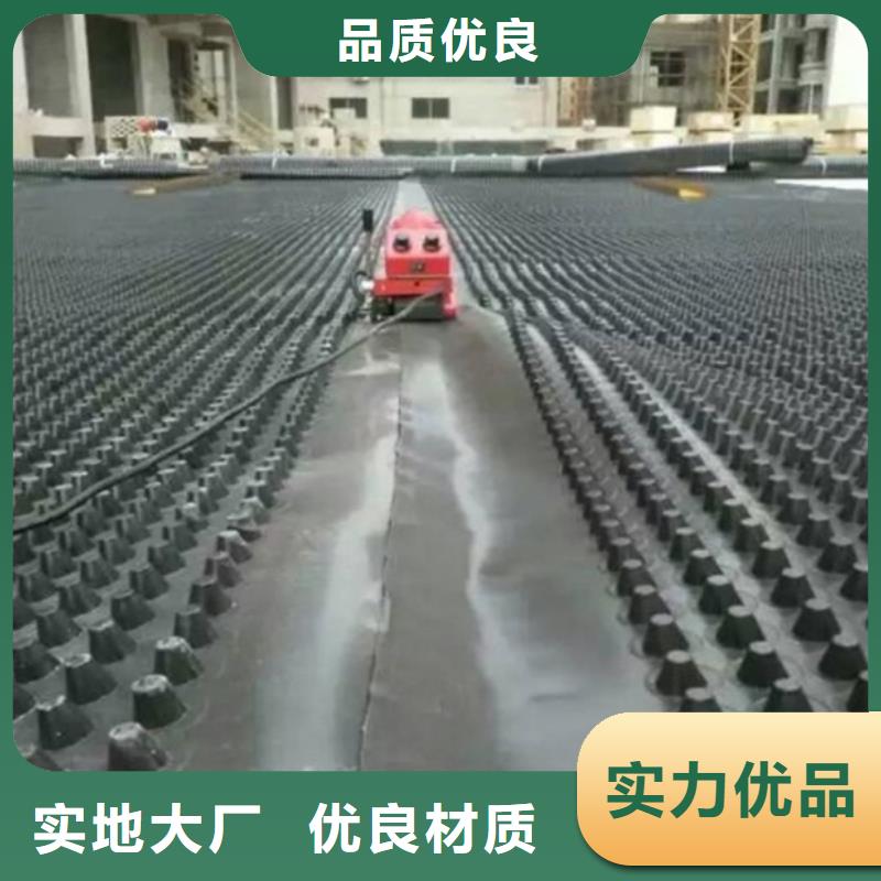塑料排水板钢塑土工格栅厂家常年出售