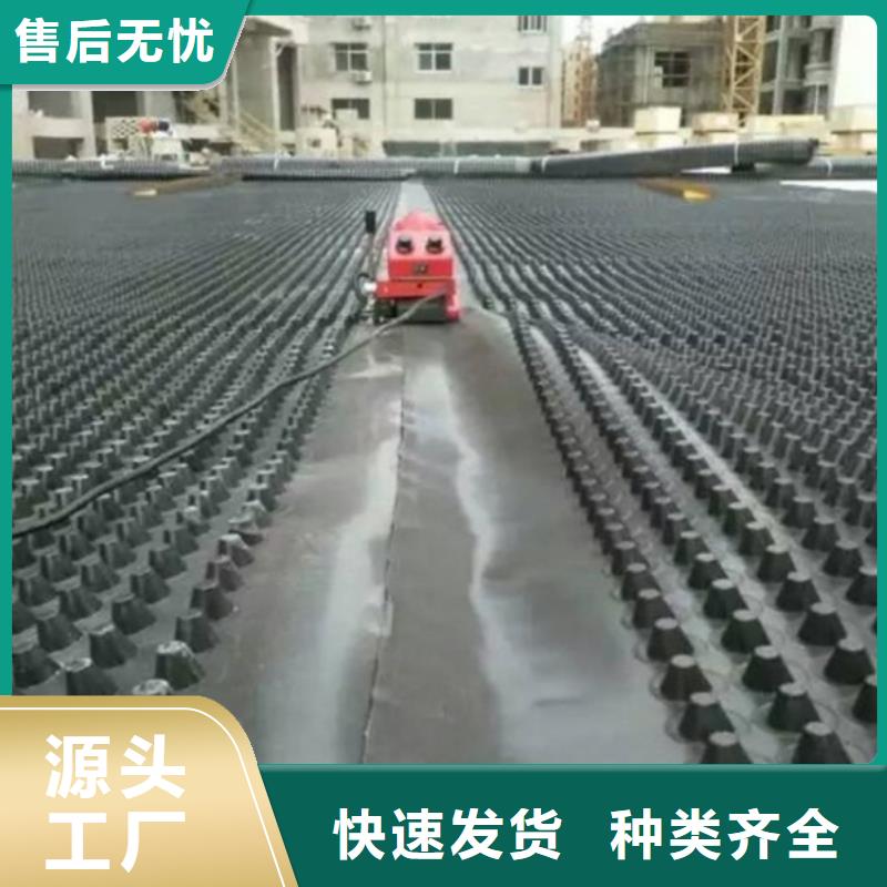 塑料排水板单向塑料土工格栅材质实在