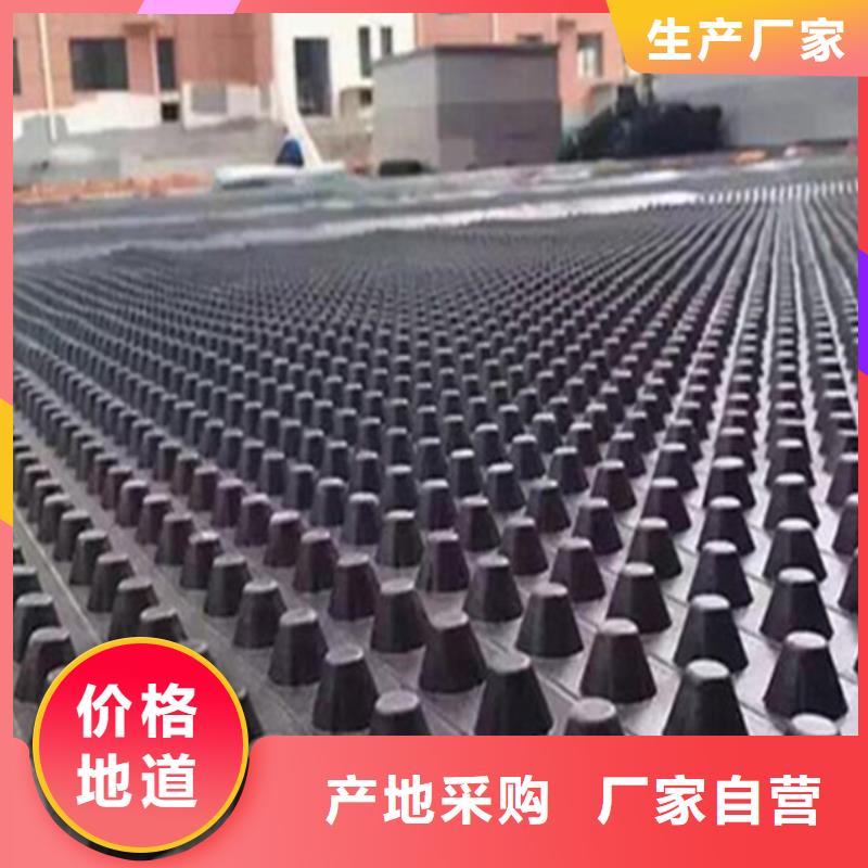 塑料排水板单向塑料土工格栅材质实在