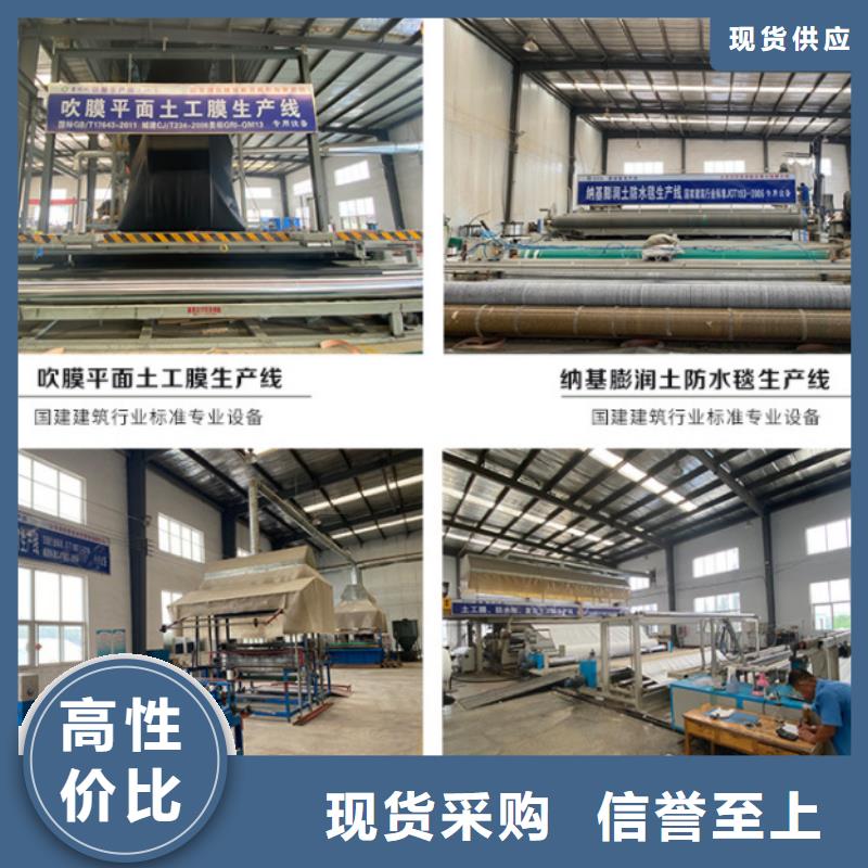 防水毯钢塑土工格栅厂家货品齐全
