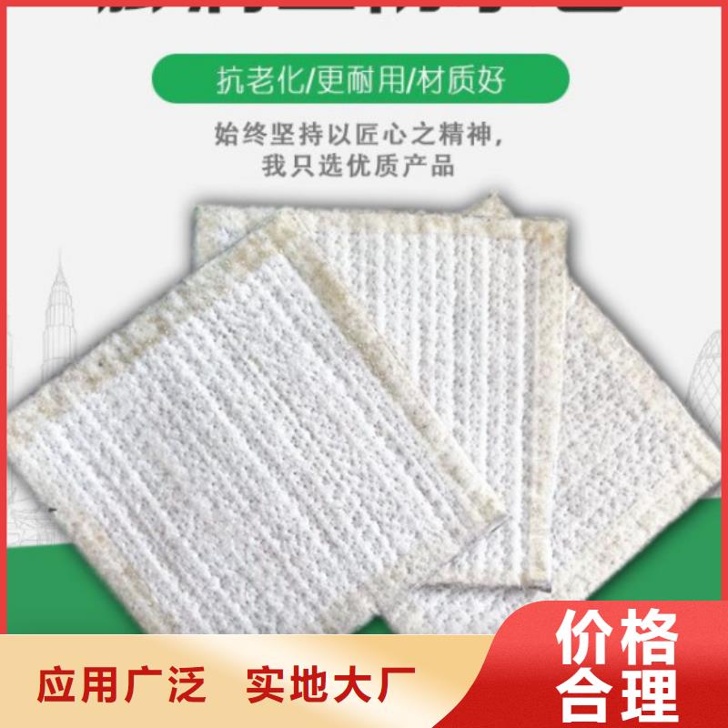 防水毯_塑料盲沟规格齐全实力厂家