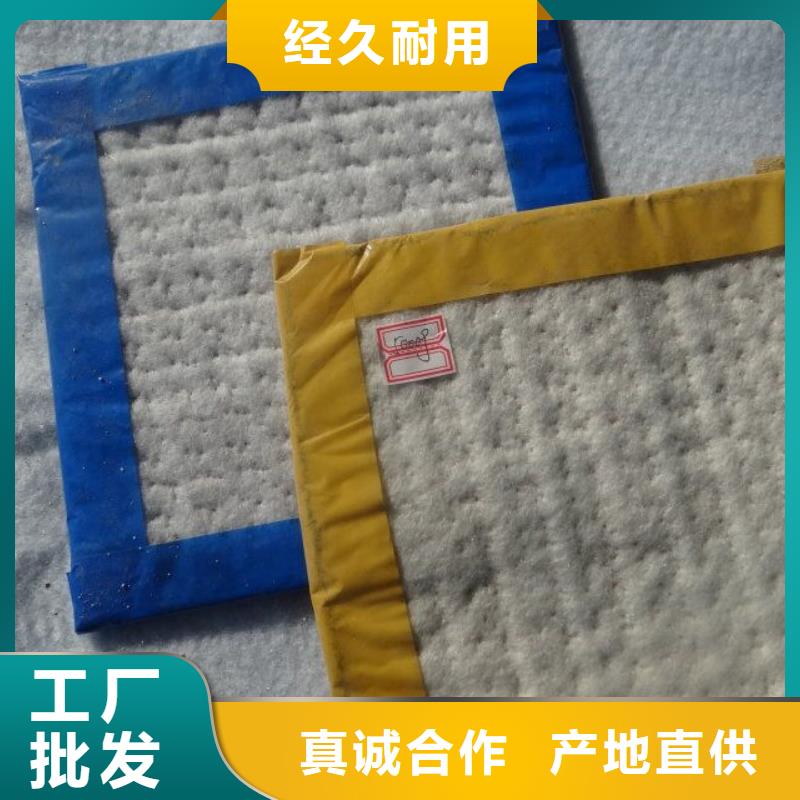 防水毯钢塑土工格栅厂家货品齐全