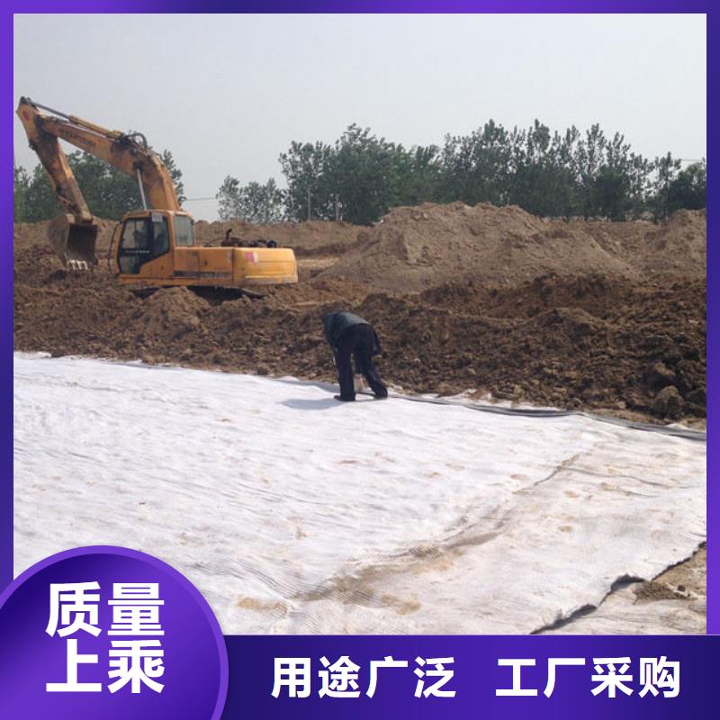 土工布价格-视频-土工布价格_甘肃省庆阳市市场覆盖正宁|庆城|甘南|酒泉|天水|张掖等