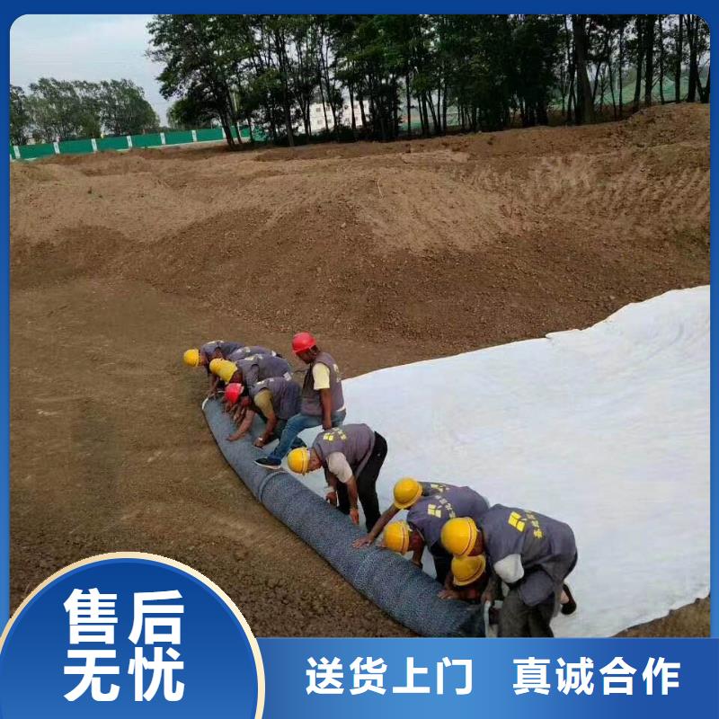 防水毯_玻纤土工格栅实力才是硬道理