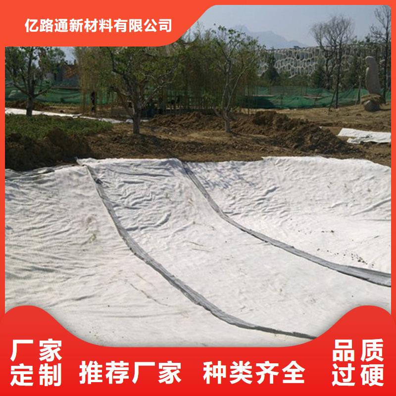 土工布价格-视频-土工布价格_甘肃省庆阳市市场覆盖正宁|庆城|甘南|酒泉|天水|张掖等