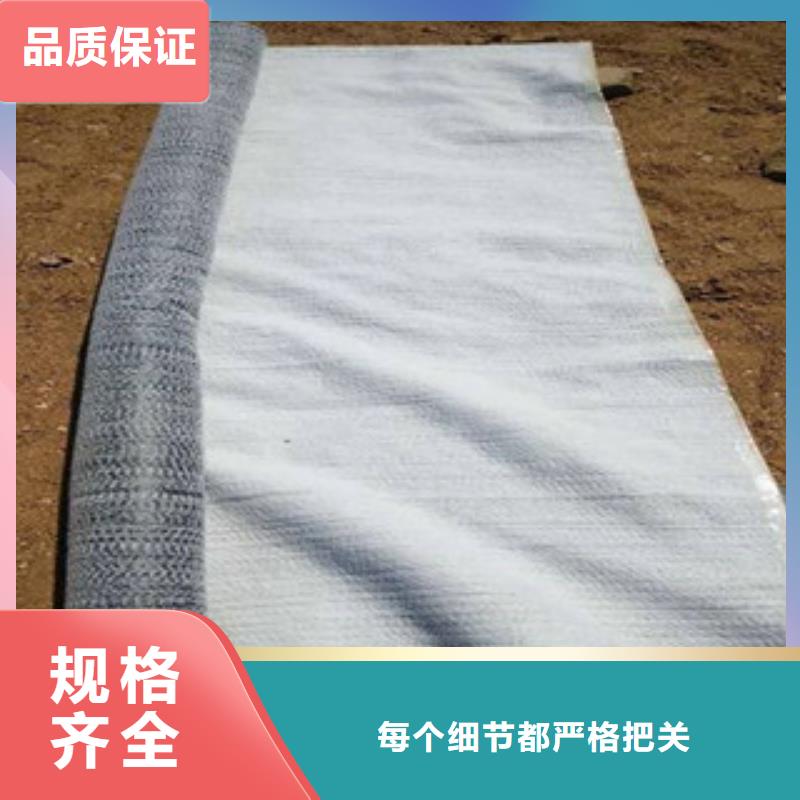 防水毯涤纶土工格栅多种优势放心选择