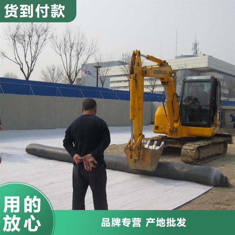 防水毯涤纶土工格栅多种优势放心选择