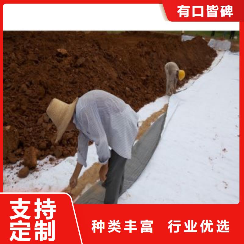 防水毯涤纶土工格栅多种优势放心选择