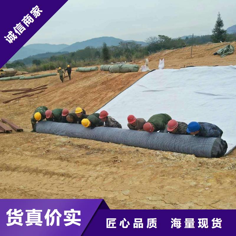 防水毯涤纶土工格栅多种优势放心选择