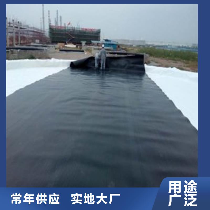 土工膜钢塑土工格栅厂家从厂家买售后有保障