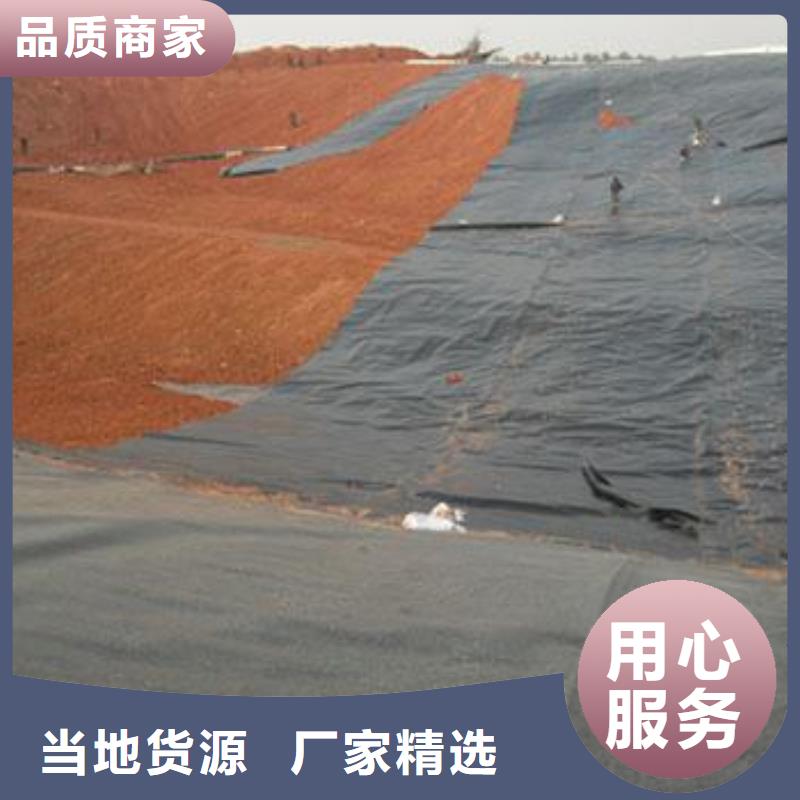 土工膜钢塑土工格栅本地配送