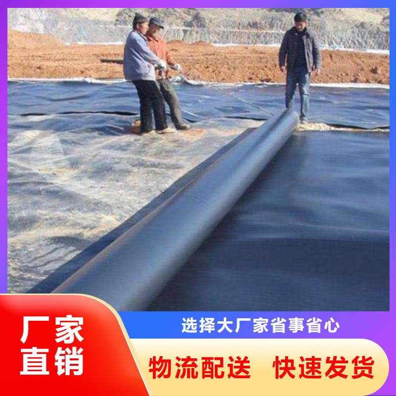 土工膜钢塑土工格栅厂家快速报价