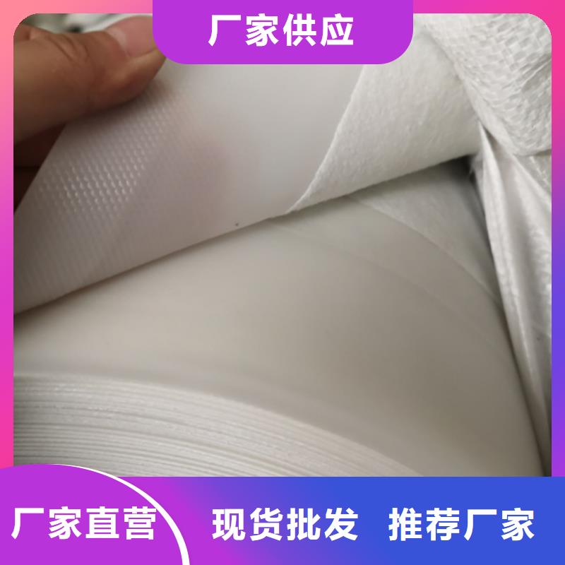 陵水县土工膜,膨润土防水毯,防草布,长丝土工布