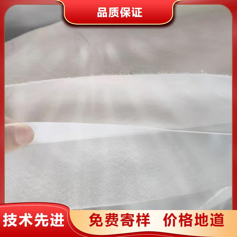 陵水县土工膜,膨润土防水毯,防草布,长丝土工布