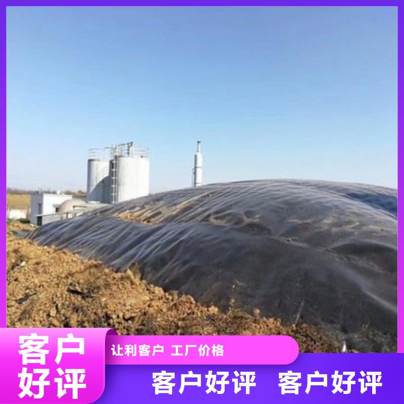 土工膜钢塑土工格栅本地配送