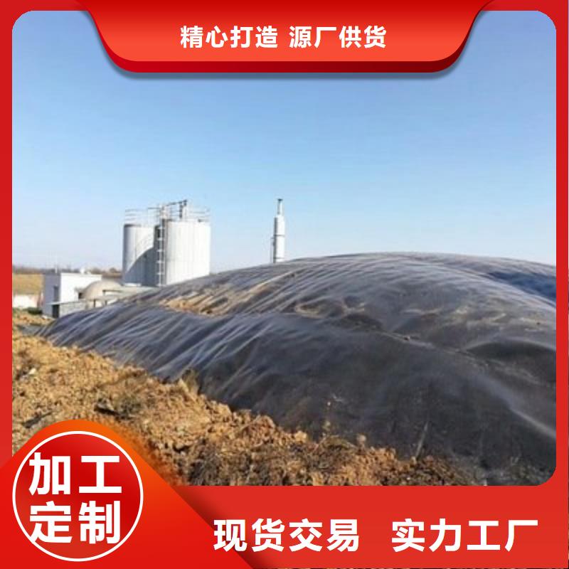 土工膜_复合防渗土工膜_hdpe防渗膜价格_鱼塘养殖防渗膜厂家